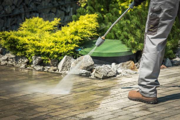 Best Sign and Awning Cleaning  in Jamul, CA
