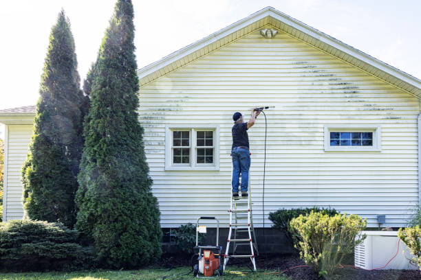 Trusted Jamul, CA Pressure Washing Experts